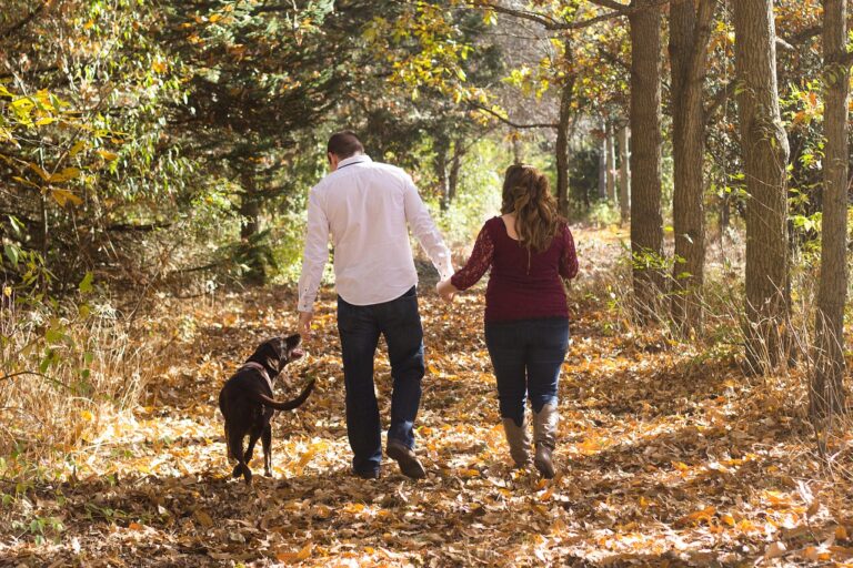 family-park-adventure