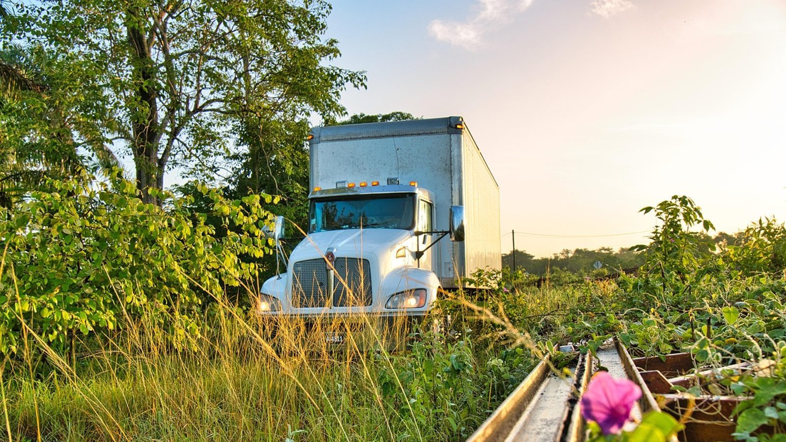 Enhancing Truck Driver Performance: A Leadership Perspective