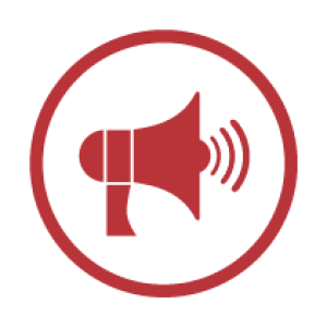 RS-Icons_Coaching